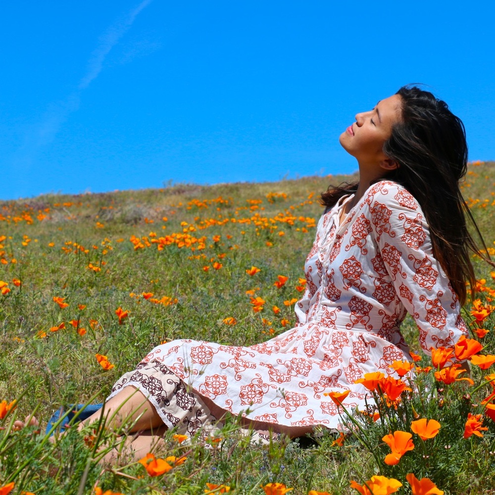 Hand made Cottage Core Dress!